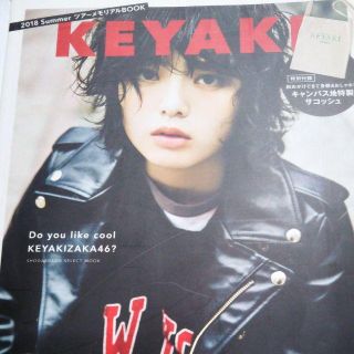 ケヤキザカフォーティーシックス(欅坂46(けやき坂46))の平手友梨奈　欅坂46　ブック　KEYAKI2018Summer ツアーメモリアル(音楽/芸能)