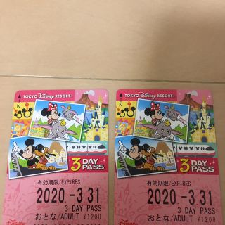 ディズニー(Disney)のディズニーリゾート　3DAY PASS おとな2枚(遊園地/テーマパーク)