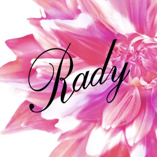 レディー(Rady)のRadyデニム福袋♡♡(デニム/ジーンズ)