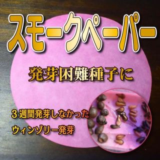 発芽困難種子に　スモークペーパー　一枚　発芽促進　休眠打破　発芽率向上(その他)