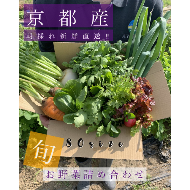 新鮮野菜をお届け！80サイズ 京都 露地栽培 新鮮野菜詰め合わせ！！ 食品/飲料/酒の食品(野菜)の商品写真