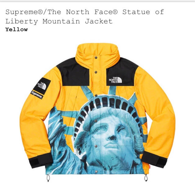 supreme  the north face マウンテンパーカー　自由の女神