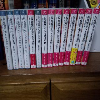 (仮)花嫁のやんごとなき事情  全巻セット(文学/小説)