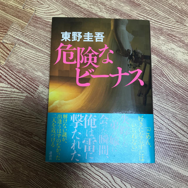 危険なビ－ナス エンタメ/ホビーの本(文学/小説)の商品写真
