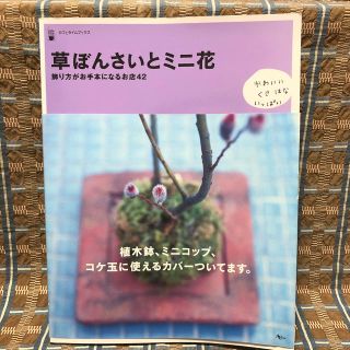 草ぼんさいとミニ花 飾り方がお手本になるお店４２ 第２版(その他)