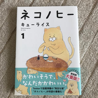 カドカワショテン(角川書店)のネコノヒー 1巻(4コマ漫画)