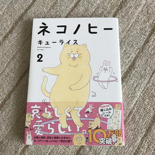 カドカワショテン(角川書店)のネコノヒー ２(4コマ漫画)