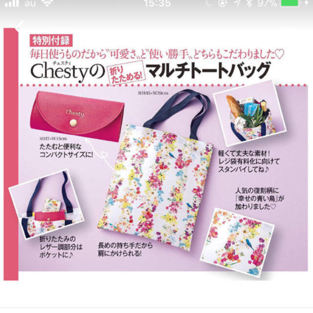 Chesty(チェスティ)のチェスティ　付録　マルチトートバッグ レディースのバッグ(トートバッグ)の商品写真