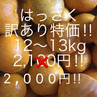 はっさく　訳あり12〜13kg  ご家庭用(フルーツ)