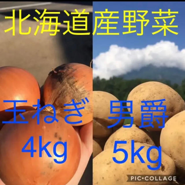 北海道産じゃがいも5kg 玉ねぎ4kg 食品/飲料/酒の食品(野菜)の商品写真