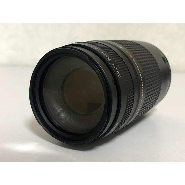 Canon EF 75-300mm 4-5.6 II USM