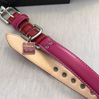 コーチ(COACH)のCOACH 首輪(犬)