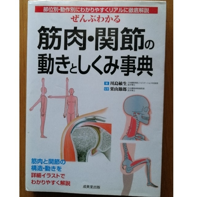 ぜんぶわかる筋肉・関節の動きとしくみ事典 部位別・動作別にわかりやすくリアルに徹 エンタメ/ホビーの本(健康/医学)の商品写真