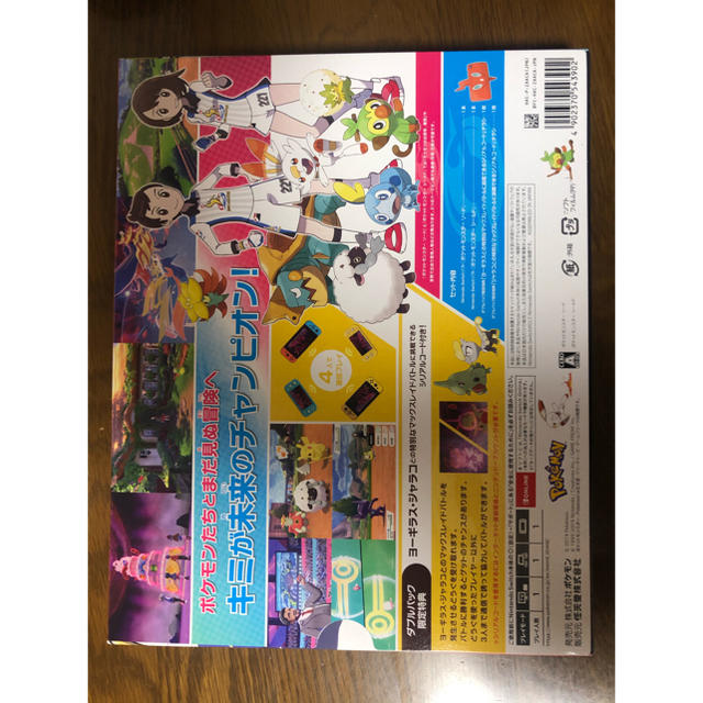 【新品未開封】ポケットモンスターソード　シールドダブルパック　スイッチ　ポケモン