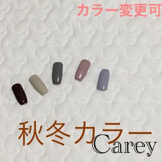 【カラー変更可】秋冬カラーA カラージェル ジェルネイル(カラージェル)