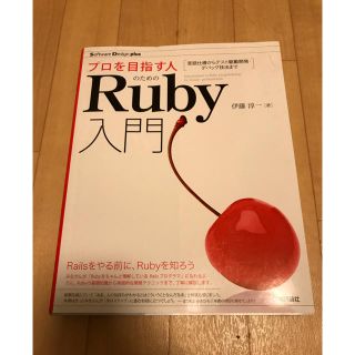 プロを目指す人のためのＲｕｂｙ入門 言語仕様からテスト駆動開発・デバッグ技法まで(コンピュータ/IT)