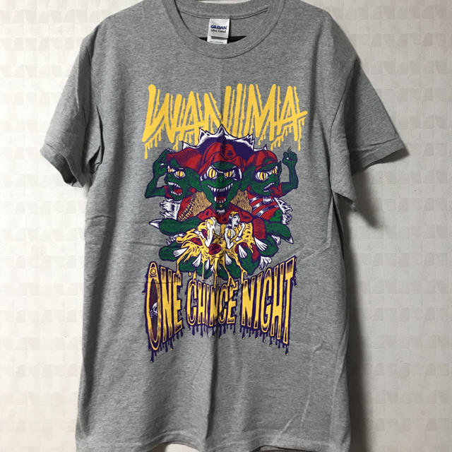WANIMA(ワニマ)のWANIMA ONE CHANCE NIGHT限定 Tシャツ M エンタメ/ホビーのタレントグッズ(ミュージシャン)の商品写真