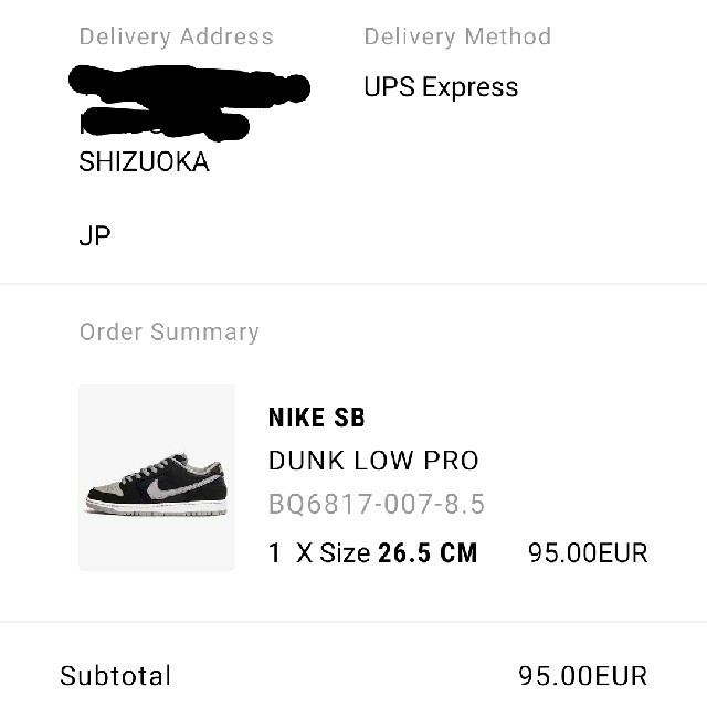 Nike SB Dunk Low Pro Shoes “Shadow”