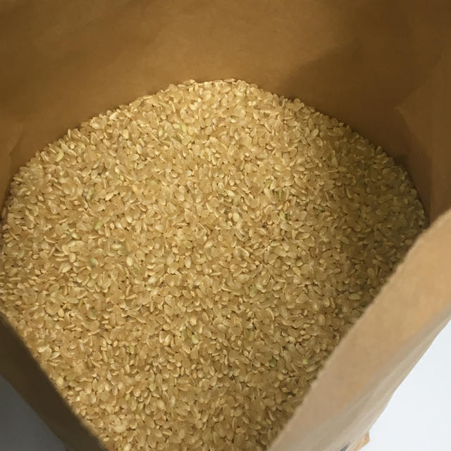 さくら様 専用 無農薬 玄米 10kg(5kg×2袋)令和元年 徳島県産 食品/飲料/酒の食品(米/穀物)の商品写真