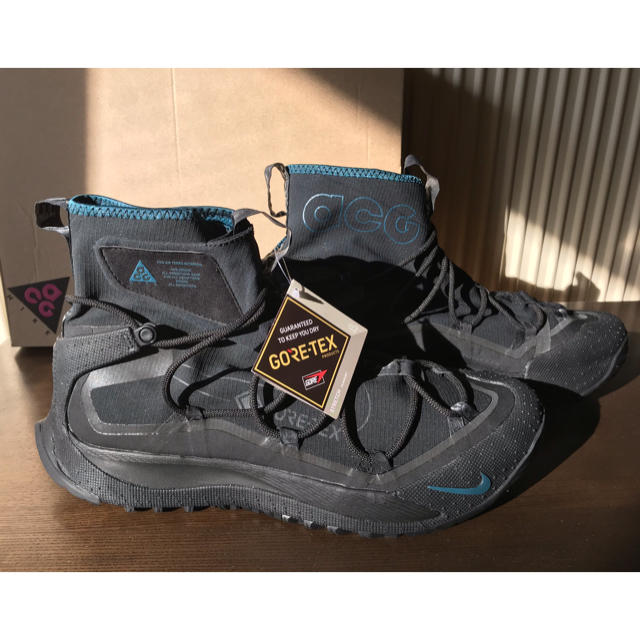 【新品 未使用】Nike ACG Air Terra Antarktik GTX 1