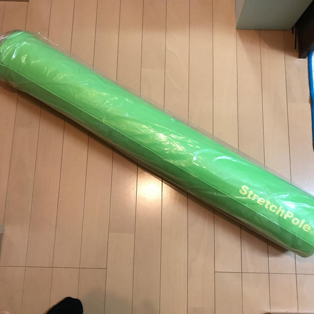 超美品 激レアLPN StretchPole EX ストレッチポール グリーン-