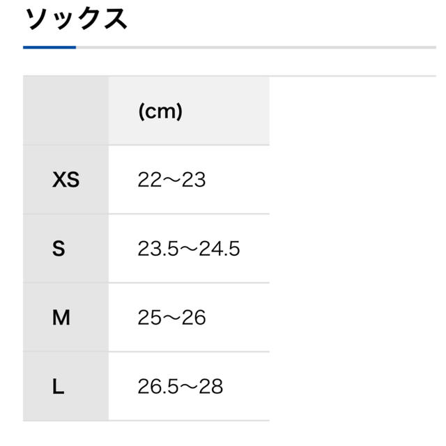 finetrack(ファイントラック)のfinetrack  メリノスピンソックスアルパイン5本指 メンズのレッグウェア(ソックス)の商品写真