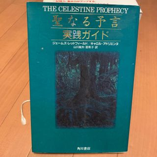 カドカワショテン(角川書店)の聖なる予言実践ガイド(その他)