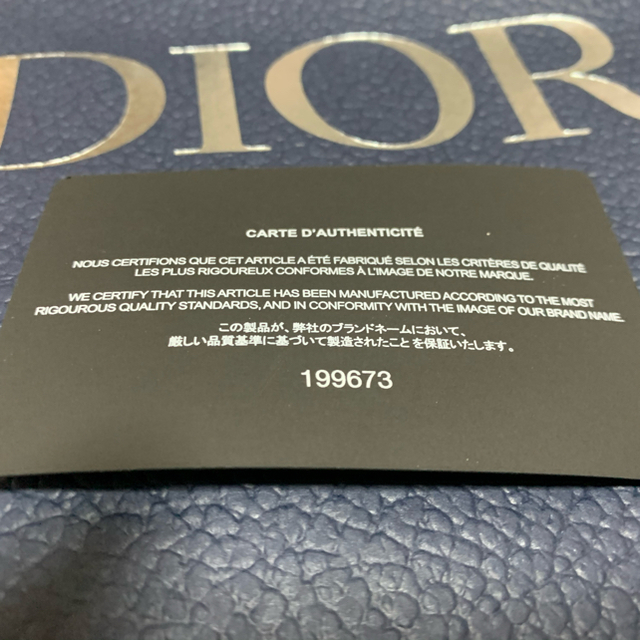 DIOR HOMME(ディオールオム)の新品　　ディオール　クラッチバック　カーフスキン　サドルバック メンズのバッグ(セカンドバッグ/クラッチバッグ)の商品写真