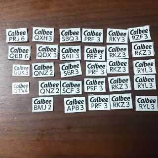 カルビー(カルビー)のCalbee カルビー応募券(その他)