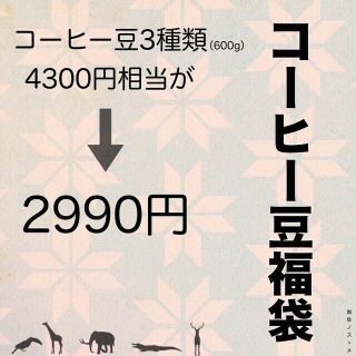 コーヒー豆３種類（600g）(コーヒー)