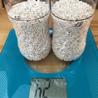 サンゴ砂  約2L  約2.4kg (アクアリウム)