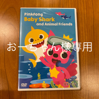 新品　Baby Shark ベイビーシャーク　DVD(知育玩具)