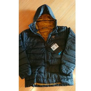 アークテリクス(ARC'TERYX)のAR Thorium AR Hoody 24k アークテリクスソリウムAR(その他)