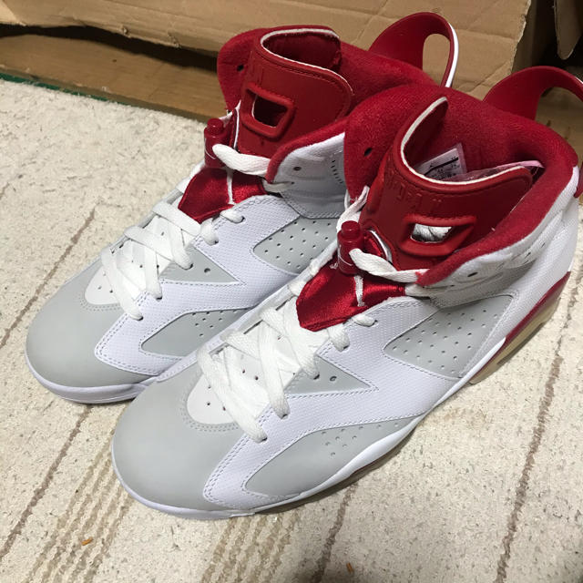 NIKE(ナイキ)のNike Air Jordan Retro 6 VI Alternate メンズの靴/シューズ(スニーカー)の商品写真