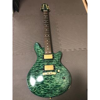 Edwards E-U-HL2 (大阪市内にて手渡しのみ)-
