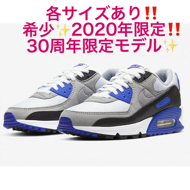 競売 各サイズあり希少‼️周年限定モデル‼️ナイキ エアマックス