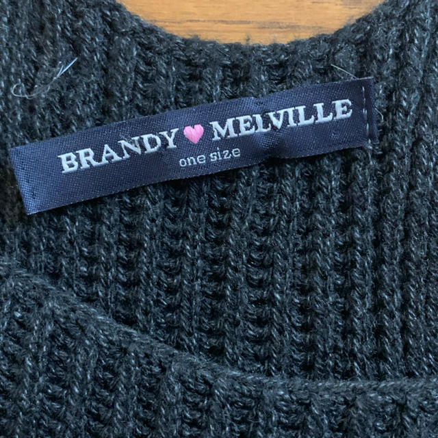 Brandy Melville(ブランディーメルビル)のbrandymelvilleサマーニット レディースのトップス(タンクトップ)の商品写真