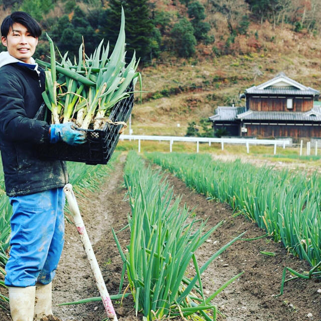 大橋農園 のどかネギ 根・土付き無線別 約３kg 食品/飲料/酒の食品(野菜)の商品写真