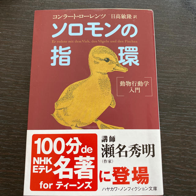 ソロモンの指環 動物行動学入門