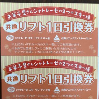 シャトレーゼスキー場リフト券2枚セット(スキー場)
