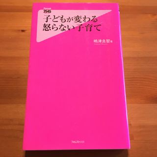 子どもが変わる怒らない子育て(文学/小説)