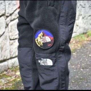 海外限定 THE NORTH FACE 7 SUMMITS 95 フリーススーツ