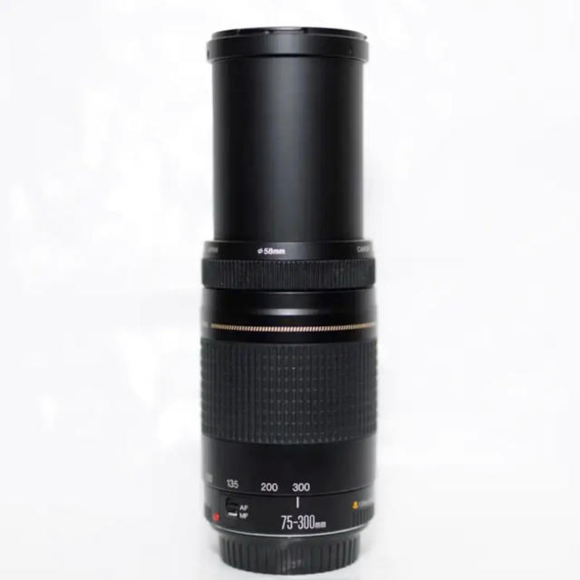 Canon EF75-300mm F4-5.6 II USM