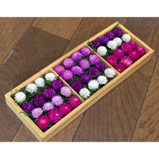 お花屋さんが作った千日紅のwood Boxお詰め合わせ(ドライフラワー)