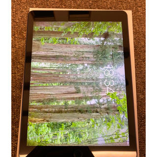 アップル(Apple)のApple iPad pro 9.7 Wifi＋Cellular  docomo(タブレット)