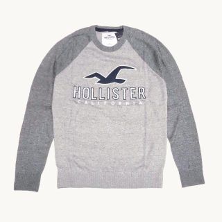 ホリスター(Hollister)の★新品★ホリスター★アップリケ付切替クルーネックセーター (Grey/M)(ニット/セーター)