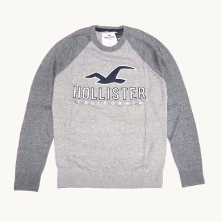 ホリスター(Hollister)の★新品★ホリスター★アップリケ付切替クルーネックセーター (Grey/S)(ニット/セーター)