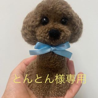 動物ぽんぽん　トイプードル　マロン(その他)