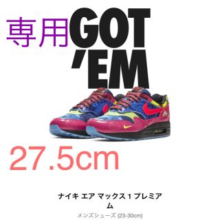 ナイキ(NIKE)のNIKE エアマックス１プレミアム　Chinese New Year(スニーカー)