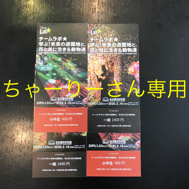 チームラボ入場券　名古屋市科学館 チケットの施設利用券(美術館/博物館)の商品写真